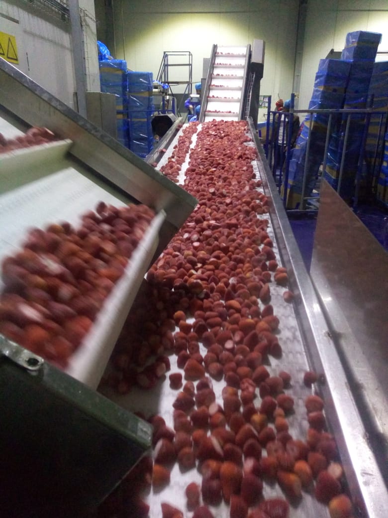 Aton Green Egypt Fresh Fruits & Vegetables